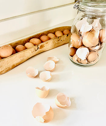 Great uses for leftover Eggshells! Eco-friendly Tip of the Month.!