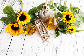 sunflower oil for teeth
