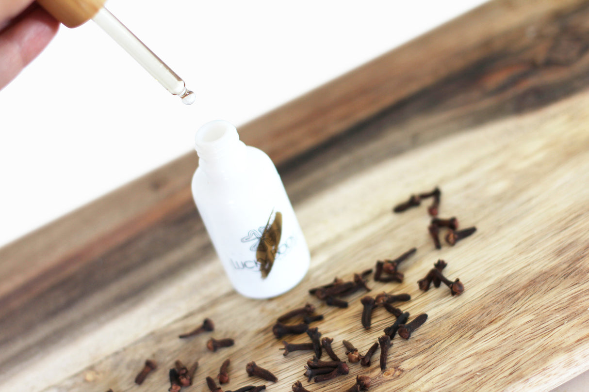 Clove Essential Oil - Organic 1 oz