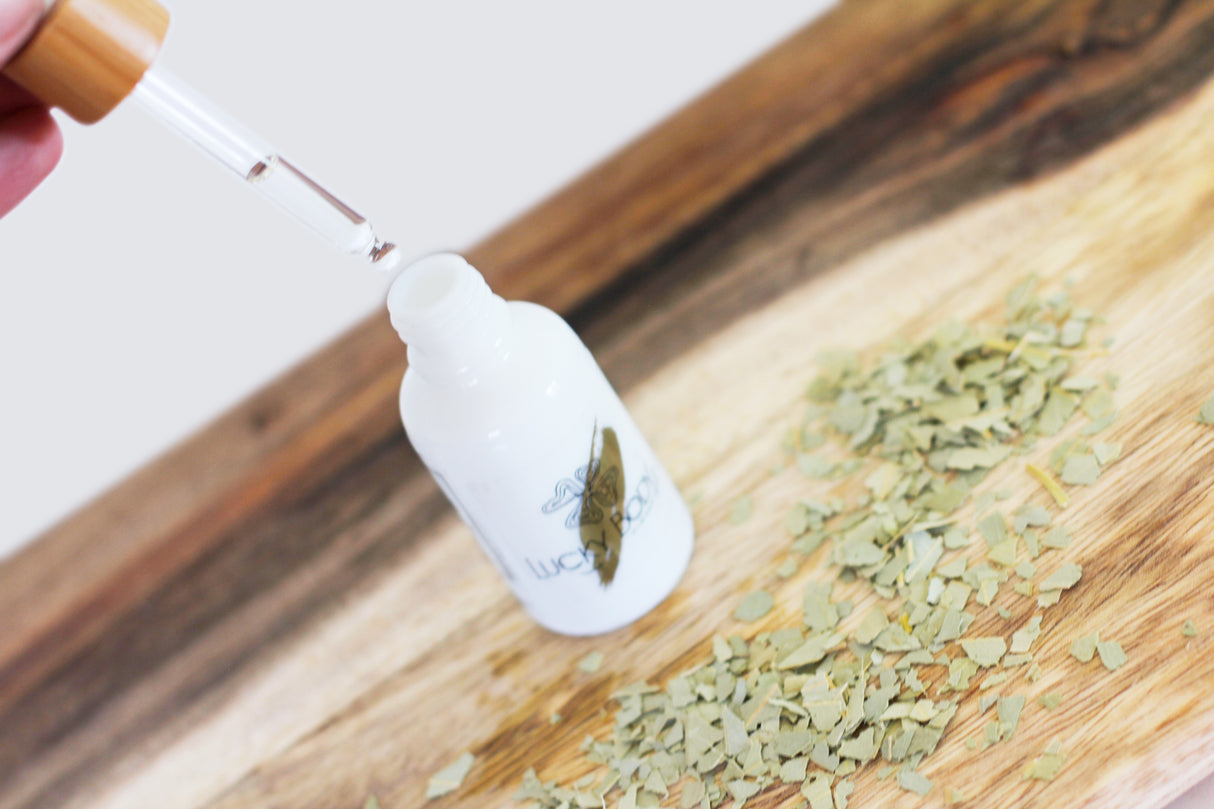 Eucalyptus Essential Oil - Organic 1 oz