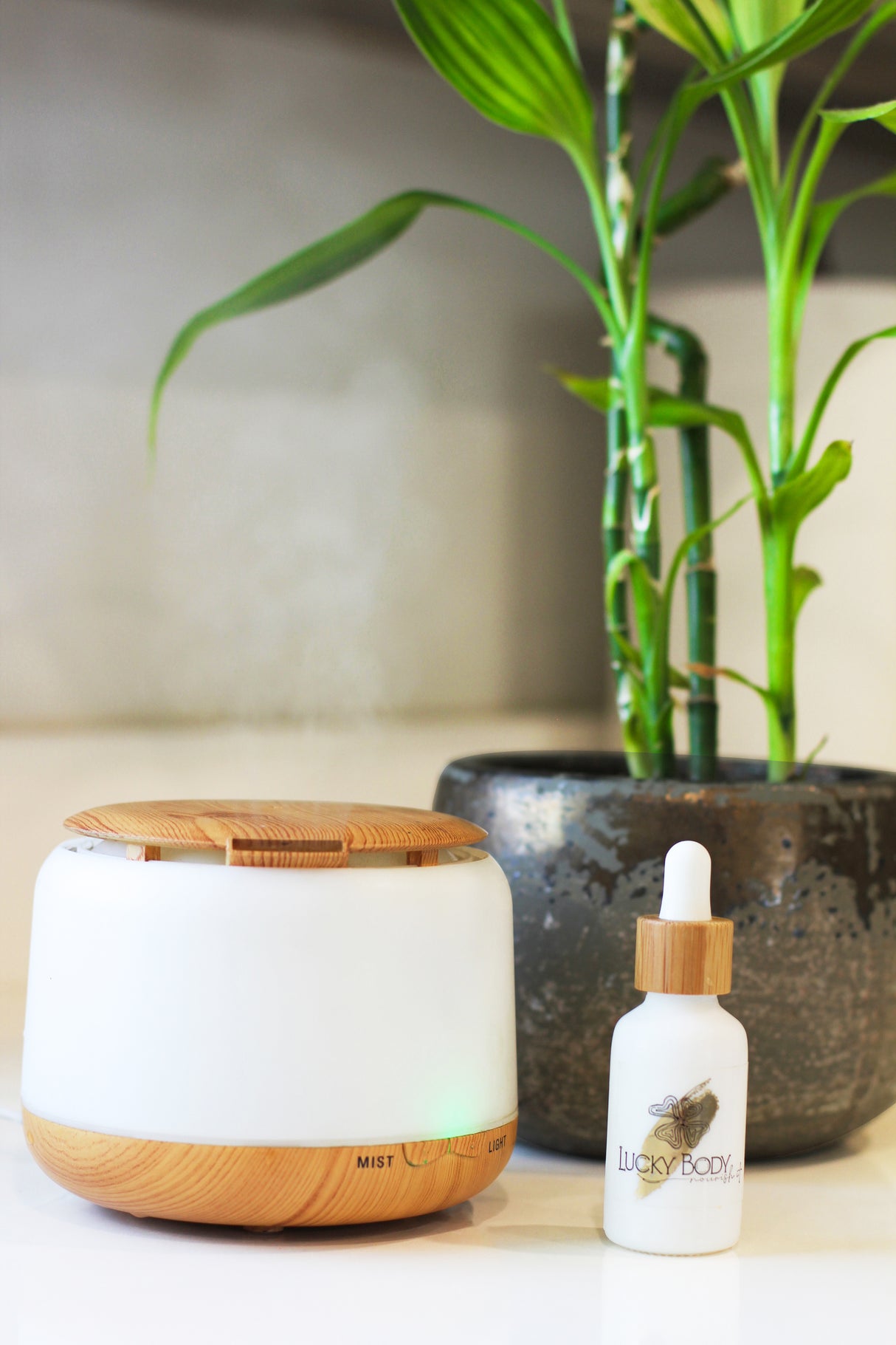 Cinnamon Essential Oil- Glass Bottle -Organic 1 oz