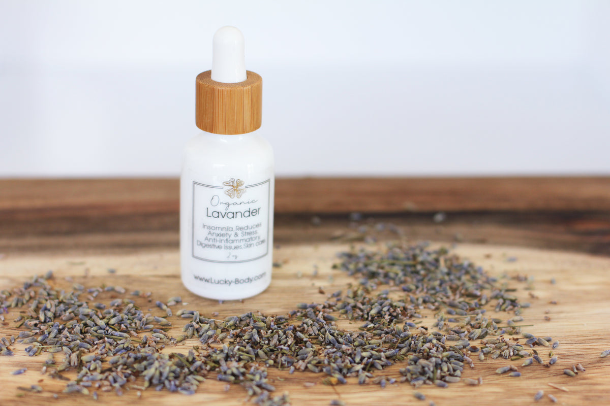 Lavender Essential Oil --Organic 1 oz – Lucky Teeth