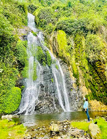 Today is the World Dream Day