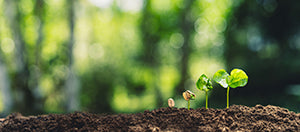 Reasons Why Everyone Must Use Eco-Friendly Products