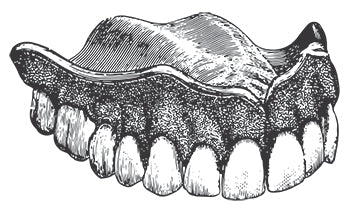 types of teeth
