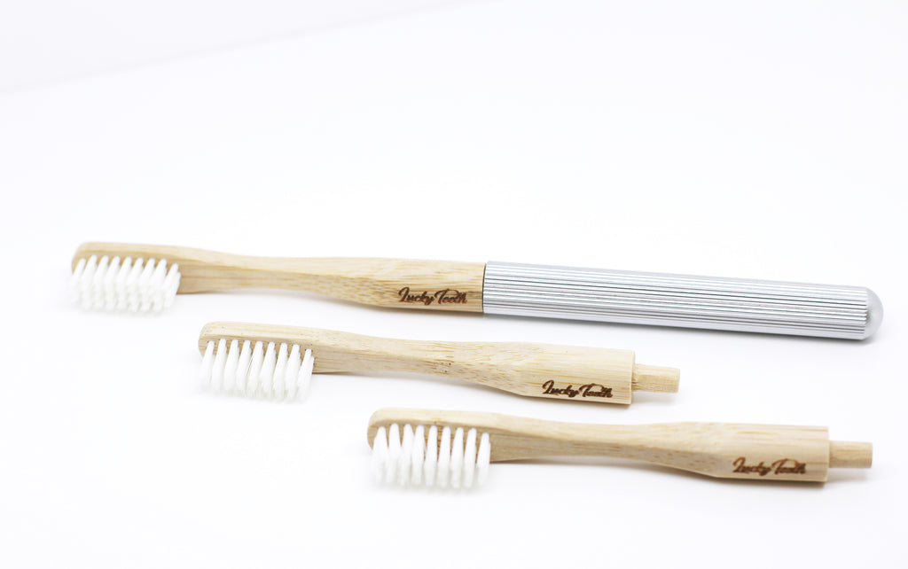bamboo toothbrush replaceable
