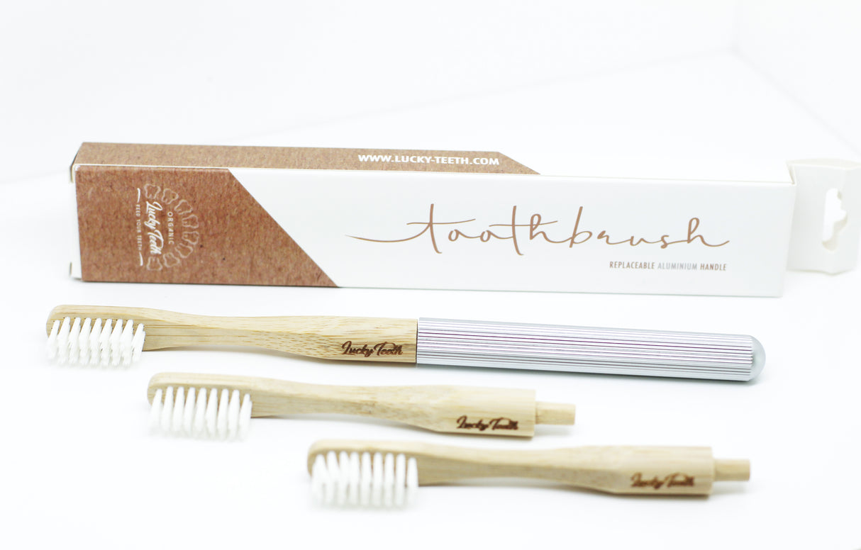 bamboo toothbrush replaceable